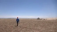 Climate-driven megadrought emerges in western U.S.