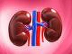 Nephrologist Urges Nigerians to Drink More Water for Healthy Kidneys