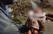 Un éboueur découvre un bébé en vie dans les poubelles de Rio et veut l’adopter