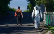 « Le pic du chikungunya à La Réunion devrait être atteint fin avril »