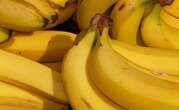 La banane la plus populaire du monde est menacée par une maladie