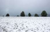 Trois départements placés en vigilance orange neige-verglas