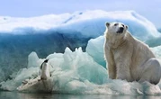 L'humanité à l'aube de retombées climatiques cataclysmiques