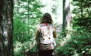 Sortir en forêt est devenu une valeur refuge avec la Covid-19