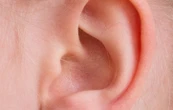 Connaissez-vous le syndrome de l’oreille rouge printanière ?