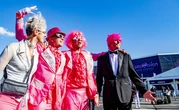 L'Eurovision, un test grandeur nature à l'heure du covid pour les Pays-Bas