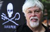 Libéré de sa prison danoise, Paul Watson est-il pour autant sorti d’affaire ?