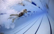 Toujours du bleu… Mais pourquoi les fonds de piscine sont-ils si tristes ?