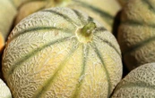 Ces melons vendus chez Metro pourraient contenir trop de pesticides