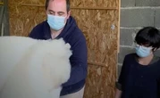 Au Pays basque, ils réutilisent la laine de brebis