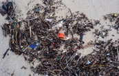 En 2060, « on va vers un monde invivable » à cause des plastiques
