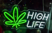 Une vingtaine de médicaments incompatibles avec la prise de CBD