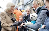 La reine Camilla a finalement adopté un nouveau chiot