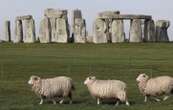 Un site archéologique semblable à celui de Stonehenge découvert au Danemark