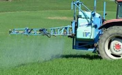 Des cultures bio détruites à cause d’un pesticide en Normandie