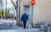 La mairie de Mâcon se montre ferme avec les propriétaires de chiens