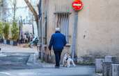 Les seniors et leur animal de compagnie, une relation très fusionnelle