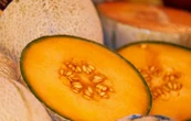 A cause de pesticides, Leclerc rappelle des melons mauvais pour la santé