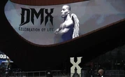 Un album posthume du rappeur DMX annoncé pour le 28 mai