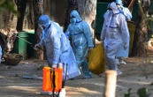 Une petite fille de 3 ans décède de la grippe aviaire H5N1