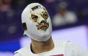 Un Mexicain fait sensation avec un masque de luchador au Grand Palais