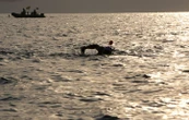 Un nageur avoue avoir menti sur sa traversée exploit en mer Rouge