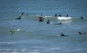 Face au succès du surf, la Nouvelle-Aquitaine en pénurie de moniteurs