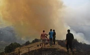 Pourquoi un bilan humain aussi lourd lors des incendies en Algérie ?