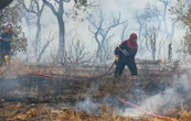 Un violent incendie sur les hauteurs de Saint-Tropez, des maisons évacuées
