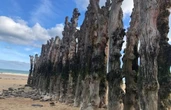 A Saint-Malo, les anciens brise-lames restent plantés dans ce lieu secret