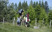 Comment les zones naturelles vont gérer l’afflux de touristes cet été