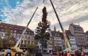 On connaît le thème de la décoration du grand sapin de Strasbourg