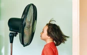 Face à la chaleur, comment ne pas se rater en achetant son ventilateur ?