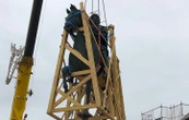 A Lyon, la place Bellecour retrouve son cheval