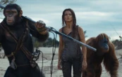 « La Planète des singes » : « Des blockbusters intelligents » dit Wes Ball