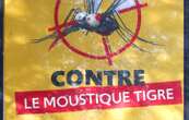 Avec 80 cas autochtones, la dengue bat des records dans l’Hexagone