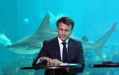 Plus de 50 ONG dénoncent l’inaction d’Emmanuel Macron sur les océans