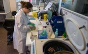 La recherche médicale n'échappent pas aux inégalités hommes-femmes