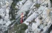 Un chien sauvé par les pompiers après une chute de plusieurs mètres