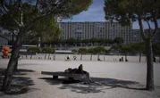 Marseille lance son « plan arbres » et prévoit 300.000 plantations