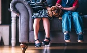L’Espagne veut encadrer la garde alternée des animaux en cas de divorce