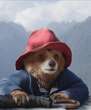 How Paddington Became an Unexpected Latine Icon