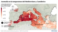 El calentamiento del mar en las costas españolas bate récords a principios de verano: "Estamos en territorio desconocido"