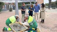 El Ayuntamiento arregla las pérgolas de cinco plazas de Sevilla Este para dotarlas de sombra natural