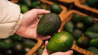 Cómo conservar el aguacate para que madure en tan solo 24 horas