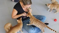 Familia Bombay, un refugio para los gatos invisibles: "La leucemia felina no es una condena a muerte"