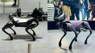 MWC 2024: los 'robodogs' toman Barcelona con el CyberDog 2 de Xiaomi y el Dynamic 1 de Tecno