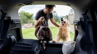 Cómo viajar con animales de compañía sin traer parásitos de recuerdo