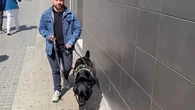 Así se comporta el perro guía de Xavier: "Es una herramienta para las personas con discapacidad visual"