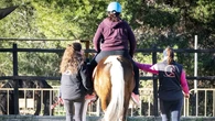 Caballos que salvan vidas: la Fundación Centauro Quirón y su modelo de ayuda 